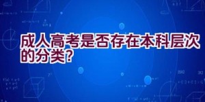 成人高考是否存在本科层次的分类？