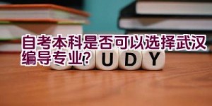 自考本科是否可以选择武汉编导专业？