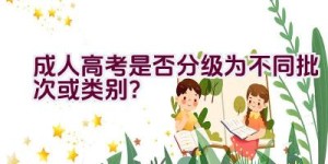 成人高考是否分级为不同批次或类别？