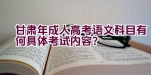 “甘肃2023年成人高考语文科目有何具体考试内容？”