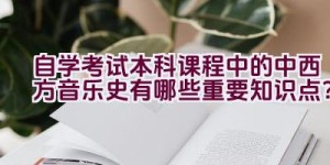 自学考试本科课程中的中西方音乐史有哪些重要知识点？