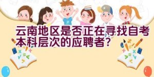 云南地区是否正在寻找自考本科层次的应聘者？