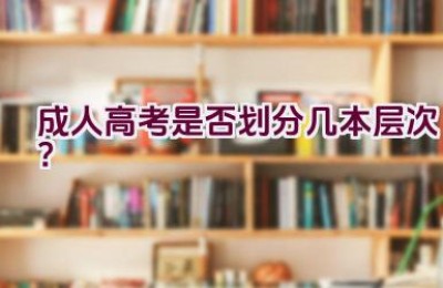 成人高考是否划分几本层次？