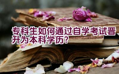 专科生如何通过自学考试晋升为本科学历？插图