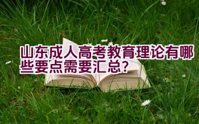 山东成人高考教育理论有哪些要点需要汇总？插图