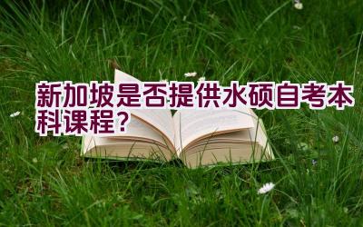 新加坡是否提供水硕自考本科课程？插图