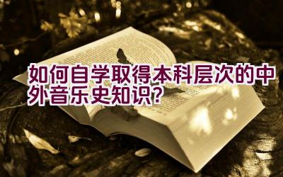 如何自学取得本科层次的中外音乐史知识？插图