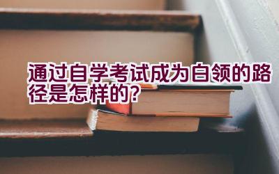 通过自学考试成为白领的路径是怎样的？插图