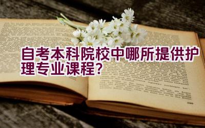 自考本科院校中哪所提供护理专业课程？插图