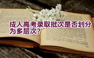 成人高考录取批次是否划分为多层次？插图