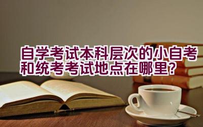 自学考试本科层次的小自考和统考考试地点在哪里？插图