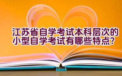 江苏省自学考试本科层次的小型自学考试有哪些特点？插图