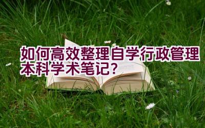 如何高效整理自学行政管理本科学术笔记？插图