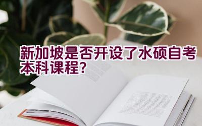 新加坡是否开设了水硕自考本科课程？插图