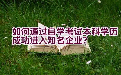 如何通过自学考试本科学历成功进入知名企业？插图